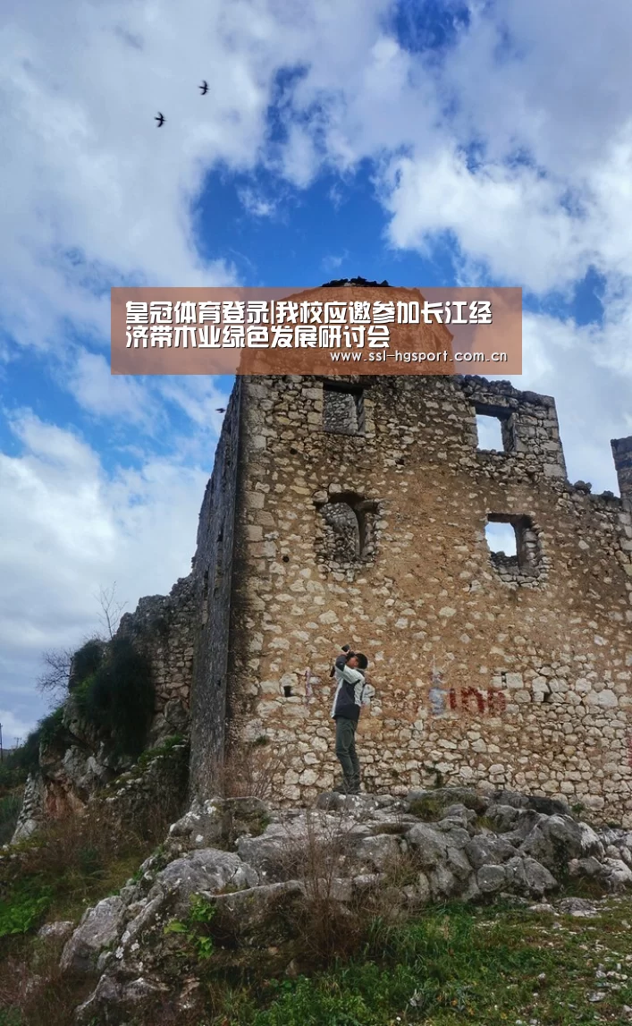 皇冠体育官网