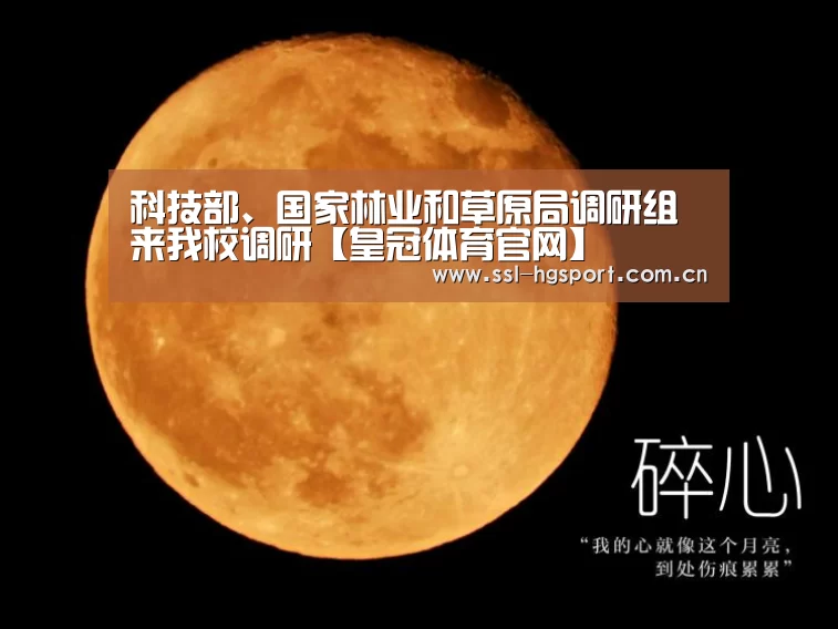皇冠体育官网